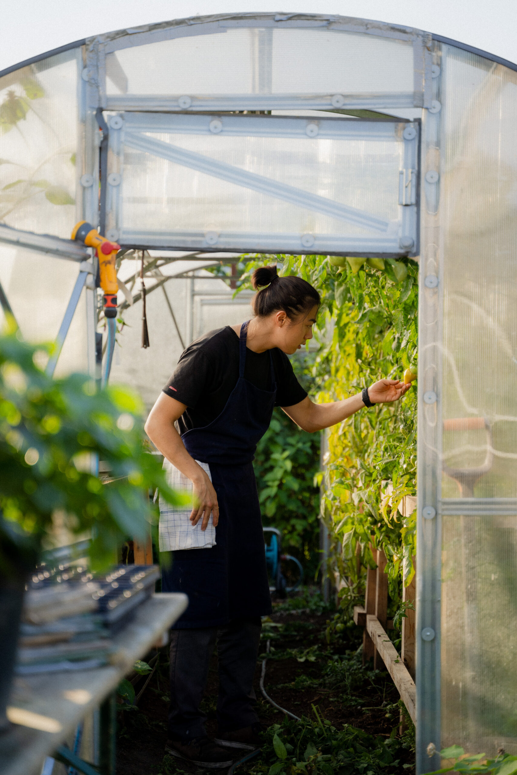 ØensHave_Sep_2024_LukasBukoven-15